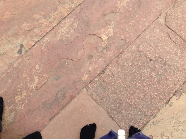 靴を脱いで入場します。<br /><br /><br />ここに限らず、インドでは靴を脱いで入場するところが多かったですが、<br />どこもあまり綺麗とはいえないのでフットカバーを持っていけばよかったです。<br /><br />