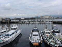 田子の浦港です。