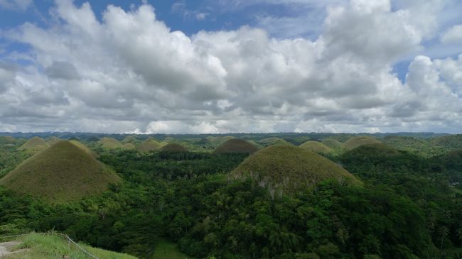 ターシャ見学の後に向かったのは、チョコレートヒルズ。