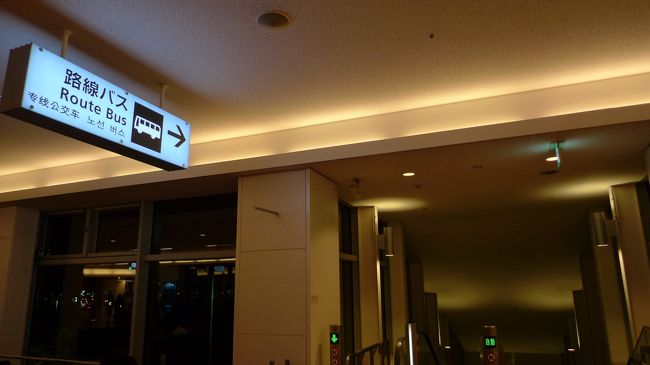 羽田着20:00。<br />通勤ラッシュを避けるため、初めてバスを使いました。<br />結構、便利です。