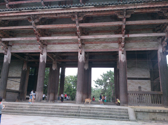 修復もあまりされてないのかな。<br /><br />