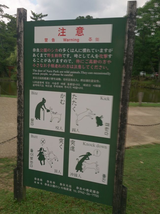 あくまでも野性動物<br /><br />以前、息子が飛びかかられて大泣きしたな〜。<br /><br />