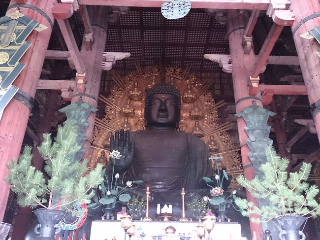 じゃ〜ん。<br />大仏<br /><br />