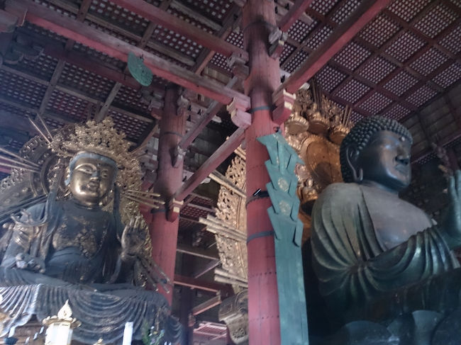 横から見るとより大きさを実感するような気がする。<br /><br />隣の仏さんもたいがい大きいのにな。