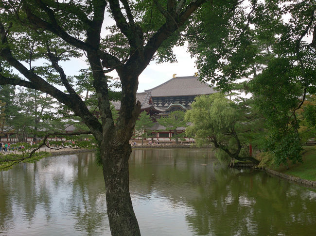 池越しに大仏殿。<br /><br />紅葉の頃もさぞかし綺麗だろう。