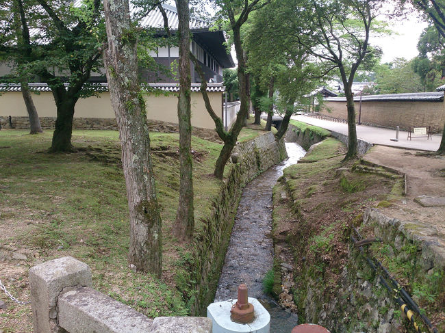 夏は夏で緑と水辺が美しい。<br /><br />