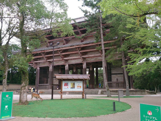 緑の鮮やかさを撮ろうと思ったら看板も緑  緑<br /><br />若草色。鹿もいい具合に映りこんでくれた。