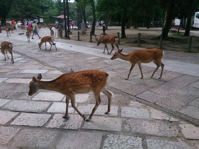 さぁ、そろそろお昼。<br /><br />ならまちへ、向かう。