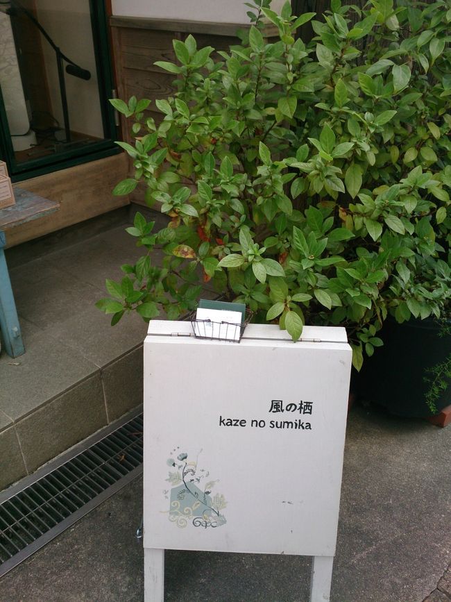 風のすみか<br /><br />可愛い雑貨屋さんだった。<br /><br />裏のお庭も手入れが行き届き涼しげな夏の庭だった。