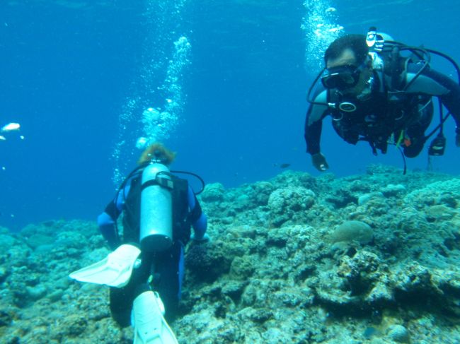 慶良間はね、世界有数の透明度を誇る海なんですって。<br /><br />親は体験ダイビング、子供はスノーケリングしましょ♪<br /><br />あら？？潜ってるのは極悪息子（長男・・・・）？