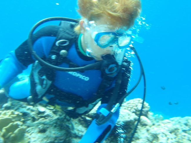 キャンセル料もったいないので、急きょ極悪（長男）が潜ることに。<br /><br />なんなくこなしてる？