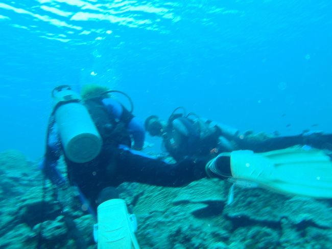 極悪ちゃん、ゴボ！っと水を飲んでパニックになったらどうしよう・・・<br /><br />そんな心配は無用だったみたい。「ライセンス、取ってもええな♪」