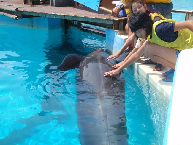 『ちゅら海水族館』<br /><br />オキゴンドウふれあい体験。<br /><br />往復はがきで申し込みだったような（当時）？