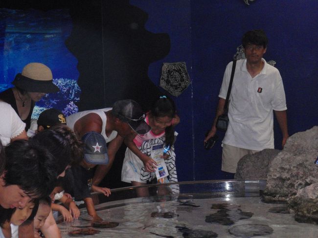 『ちゅら海水族館』