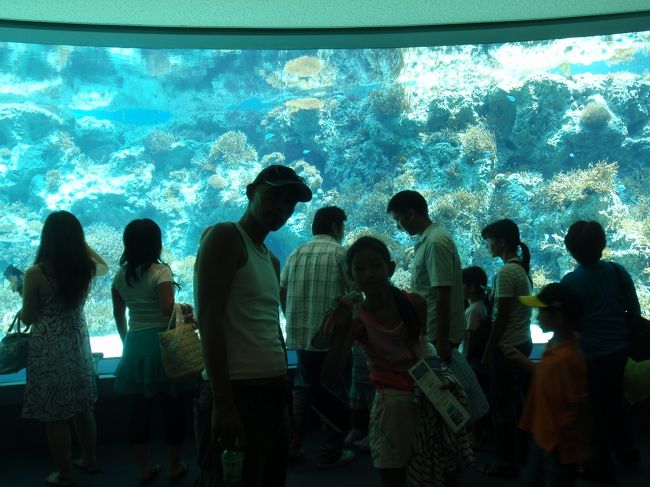 『ちゅら海水族館』