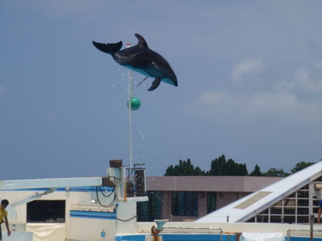 『ちゅら海水族館』