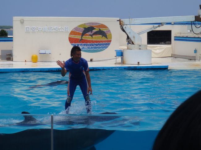 『ちゅら海水族館』
