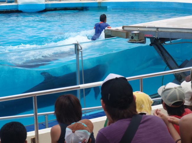 『ちゅら海水族館』