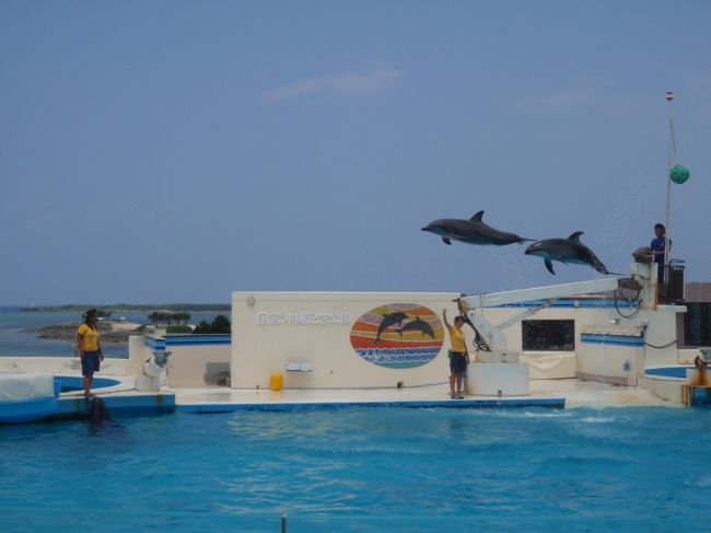 『ちゅら海水族館』