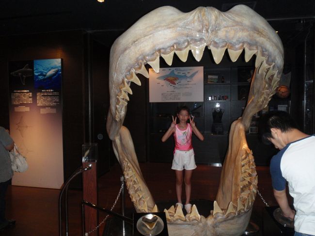 『ちゅら海水族館』<br /><br />