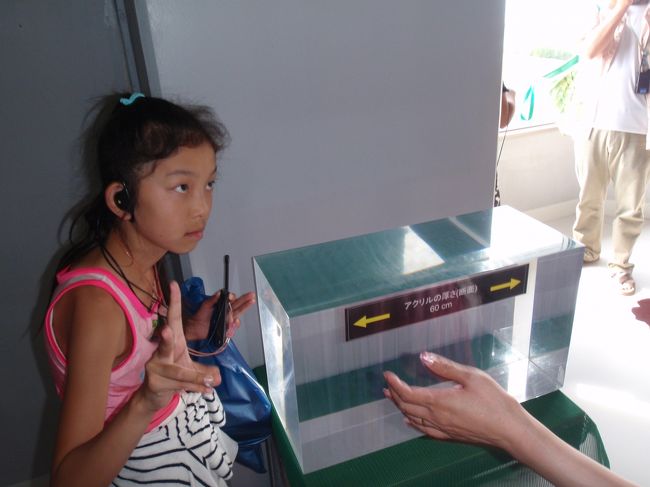 『ちゅら海水族館』<br /><br />アクリル大水槽を上から見るツアーに行きます。<br />先着制だったかな？<br /><br />右のものがアクリル実物です。