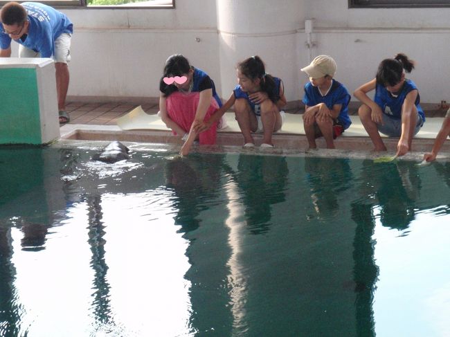 『ちゅら海水族館』<br /><br />しかも大人げなく、真っ先に（笑）<br /><br />野菜を持ってたら、マナティがざばーっと上がってきて、歯の無い口でもしゃもしゃ食べるんだけど、上がってきた顔がマズすぎて、ざぶんと押し戻したくなる（笑）