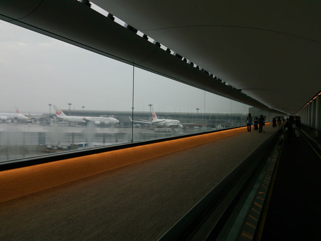 搭乗口まで遠いこと(((^^;) 時間に余裕を持って移動します。<br /><br />17:35 搭乗口横の「え、ここで円陣になるの？」というスペースで再集合＆自己紹介。他の利用客にも注目されてしまってちょっと恥ずかしかった(^^;<br /><br />参加者は14名。皆さんベトナムは初めてだそうです。〈おひとり参加の旅〉２回目の方も何人かいらっしゃいました。<br />年齢は20〜50代くらいかな。TDさん曰く今回は若い人が多いらしいです。<br /><br />気がつくと他の乗客はみんな搭乗して私たちだけに...ギリギリで乗り込みます(笑)...この旅、大丈夫か？