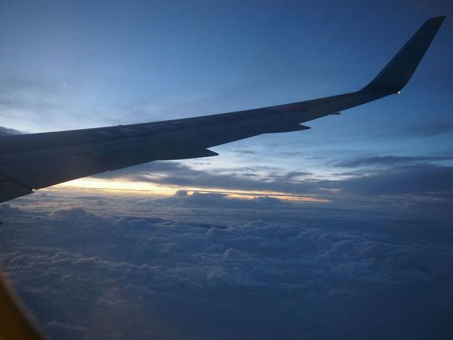 離陸後のドリンクサービスで温かい飲み物を頼んだら、JALなのにあまり日本語が通じなくてコーヒーと紅茶が一杯ずつ来てしまった！私の日本語、難しかったのかな？(((^^;)<br /><br />そう言えばコードシェア便に乗るの、初めてかも。CAのチェリーさん、一生懸命笑顔で頑張ってました(*^^*)が、日本人CAさんのイライラが顔に出てて恐かった...<br />機内食のメニューを出す時も高圧的...久しぶりにJALを利用したけど、ANAとは色々違うみたい。