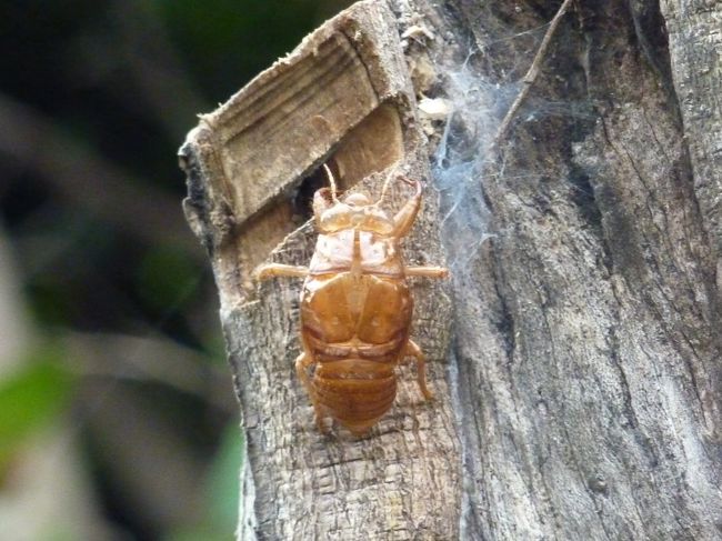 朝自宅7時出発<br />もう夏もそろそろ終わりかな〜