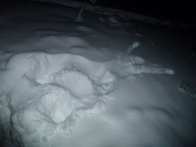 雪にダイブしました。笑