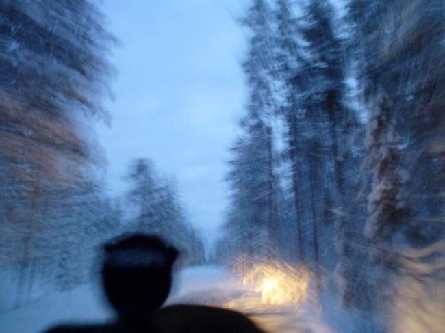 ツーリング気分。