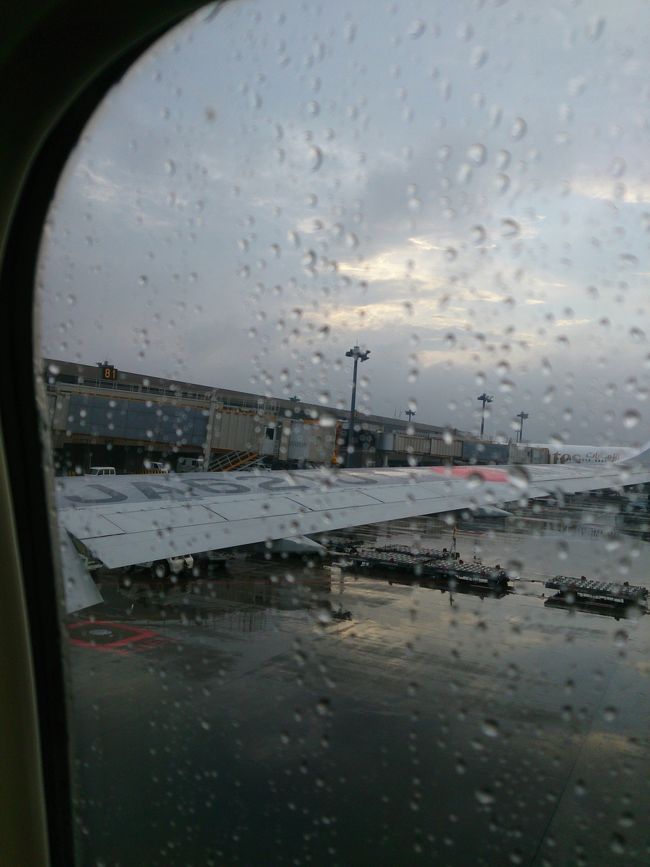 前日にWebチェックインした座席はかなり後方の窓側(58K)。搭乗口からは遠いけど、隣は空席でした。ラッキー(*^^*)<br /><br />滑走路が混んでて離陸が遅れるみたい。雨だからね。<br />早速「アナと雪の女王」を観賞♪