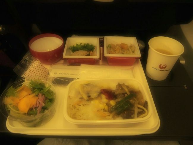 「青椒肉絲と汁なしチャンポン」<br />しっかりめの味付けでした。関西人の私には濃すぎたかも。万人の舌に合わせるのは難しいですね。お味噌汁が優しい味でほっこりしました。<br /><br />『アナ雪』を見終わったので『白ゆき姫殺人事件』を選択。が、食事中なので『アメトーーク』に変えました(笑)。<br />その後『相棒ｰ劇場版ｰ?』を観賞。<br /><br />約５時間半でハノイに到着。<br />現地時間は22時(時差−２時間)です。<br /><br />入国審査後、手荷物を受け取って現地ガイドの全(トゥワン)さんとツアーバスへ向かいます。<br /><br />すっっごい湿気！！！不快〜〜(;´д｀)<br />と思ってたらTDさん「涼し〜い♪」とめっちゃ笑顔(*^^*)<br />「え？これって涼しいの？」