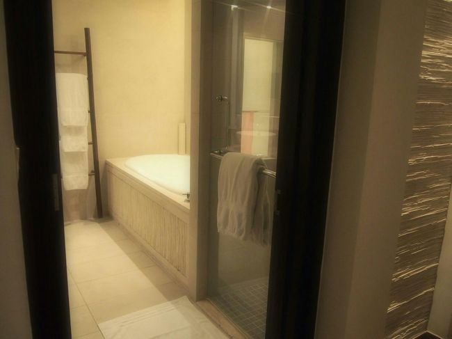 バスは、大きなバスタブの横にシャワールーム♪<br />ジェルをたっぷり入れて、バブルバスを堪能しました(*^^*)<br />お湯は適温を調節できて、シャワーの湯量も充分、日本と同じように使えて、とても良いバスでした♪<br /><br />明日は5:30起き。できるかな(笑)。<br />おやすみなさい☆ミ