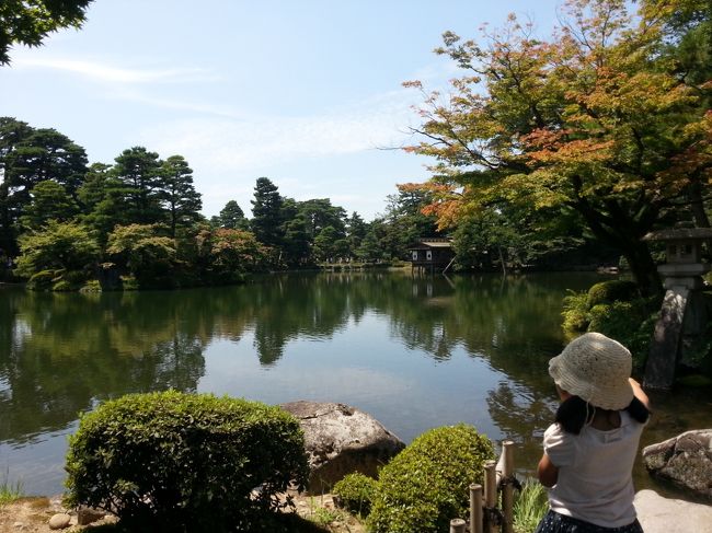 暑くてゆっくり見学出来なかった兼六園、<br /><br />外国人観光客の姿が目立ちました。<br /><br />