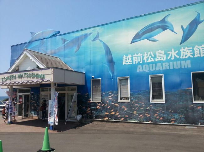 こぢんまりとした「越前松島水族館」