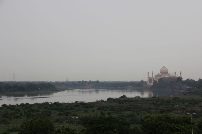 王様はこんな感じで奥様のお墓をながめていたそうな。