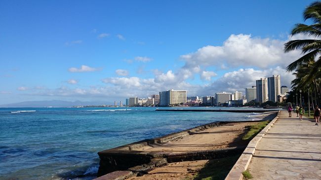 帰りは幾分ゆっくり歩きながら戻りました。帰りのが写真撮ったり寄り道しながらなのに早く感じたなぁ