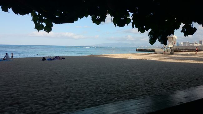 OpenTableで1ヶ月半前に予約。ハウツリーの下に案内されました☆