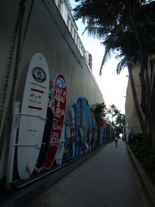 お部屋を6時20分〜30分頃に出て徒歩でシェラトンワイキキからハウツリーラナイに向かいます。一度行ってみたかったので〜。