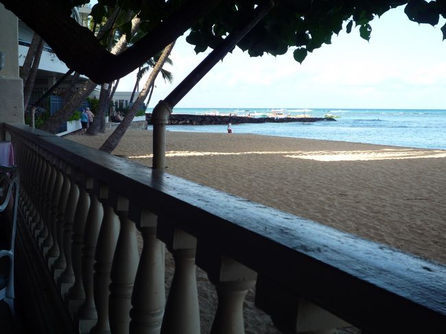 早い時間の店前は日陰なのでもっと遅い時間の方が写真は綺麗に撮れそうかな