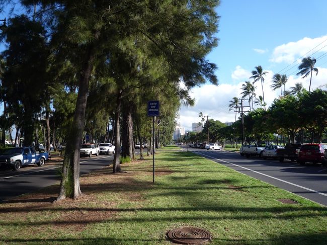 今日も良い天気になりそうだね