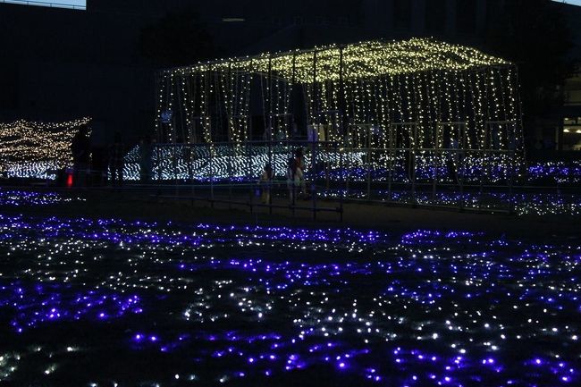 光のトンネル。開幕日と最終日にはライブなども。