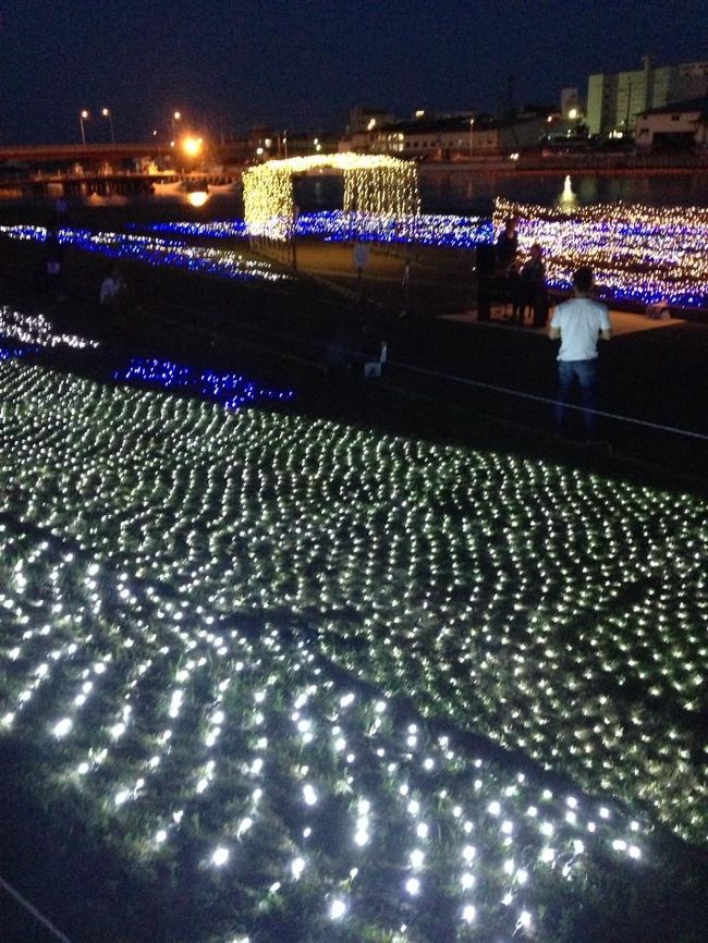 使用しているLED電球は全部で５万球。