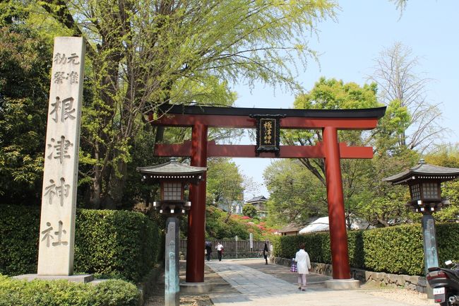 つつじが見頃となった根津神社へ。表参道口。