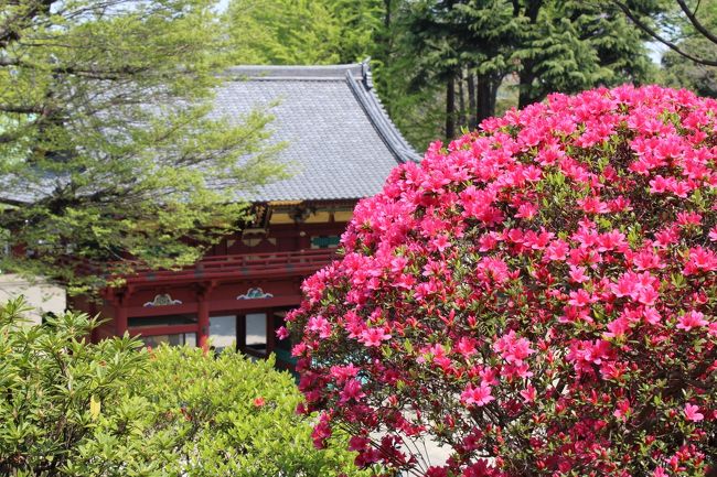 ツツジ苑の高台から見た楼門