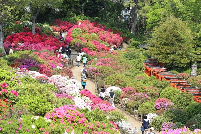 ツツジ苑