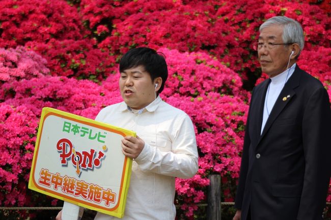 ツツジが見頃なので日本テレビの中継も行われていた