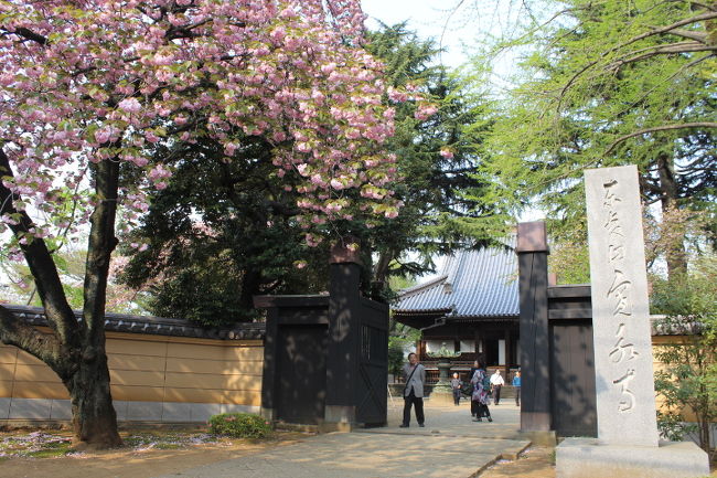 寛永寺