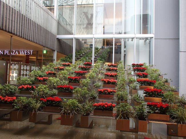 ハービスPLAZA ENTの地下入口に来ました。<br />ここにはいつも季節の花などが飾られています。